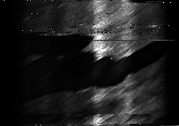 ascat_grayscale_ch4.png
